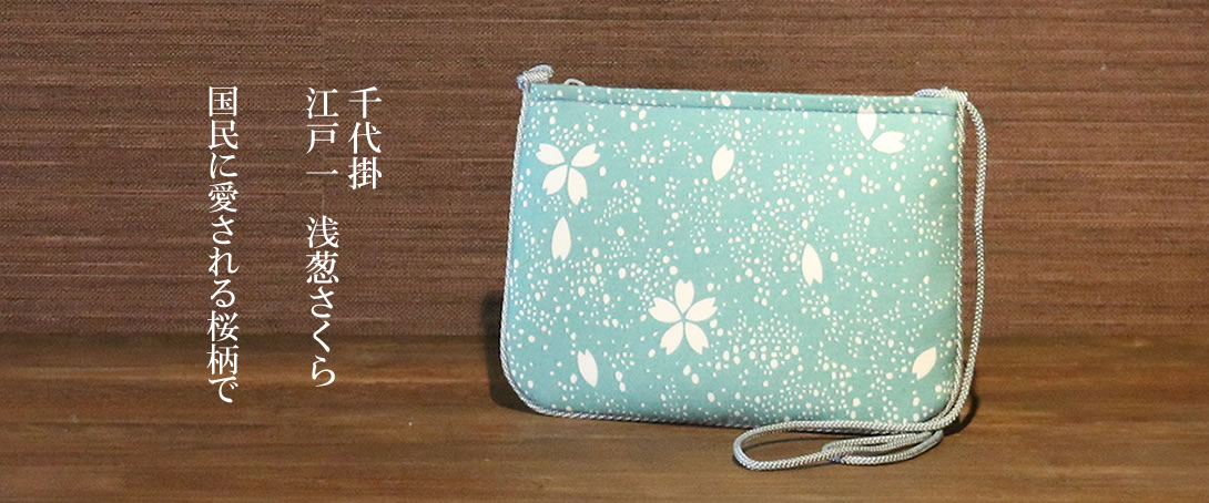 千代掛 江戸一 浅葱さくら 